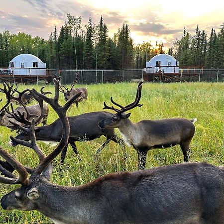 Pleasant Acres Reindeer Ranch Villa Pleasant Valley Eksteriør bilde