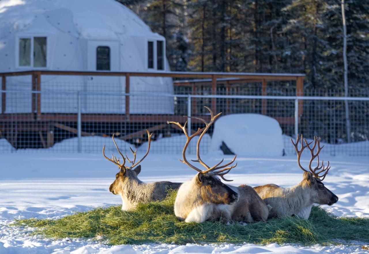 Pleasant Acres Reindeer Ranch Villa Pleasant Valley Eksteriør bilde
